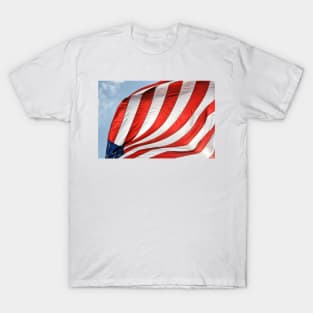 Fabric of Our Freedom T-Shirt